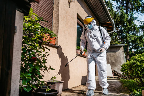 Best Pest Prevention Services  in Brewster, NY