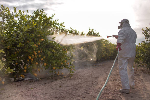 Best Residential Pest Control  in Brewster, NY