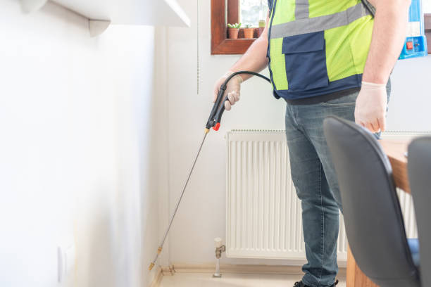 Flea Control Services in Brewster, NY