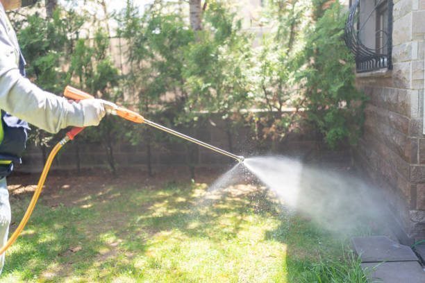 Best Termite Control Services  in Brewster, NY