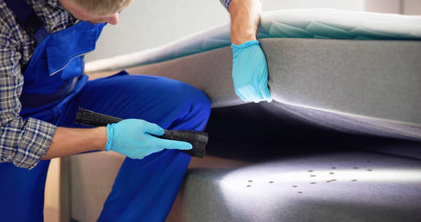 Best Flea Control Services  in Brewster, NY