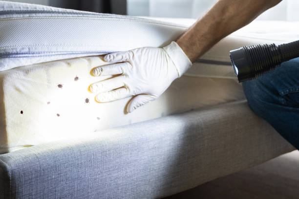 Best Commercial Pest Control Services  in Brewster, NY