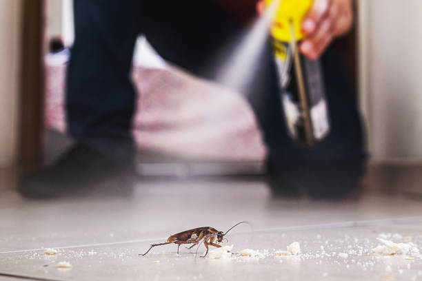 Best Pest Removal Services  in Brewster, NY