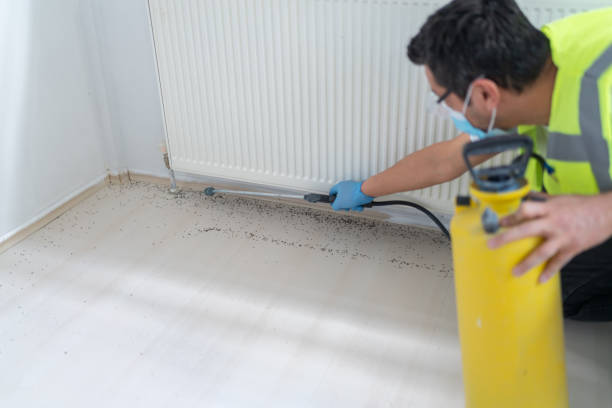 Best Best Pest Control Companies  in Brewster, NY