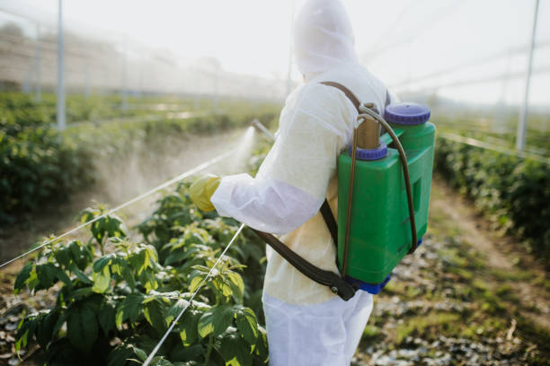 Pest Control Cost in Brewster, NY